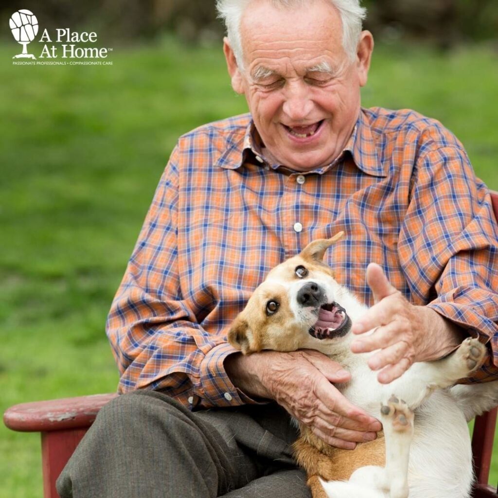 in home senior care carrollton tx