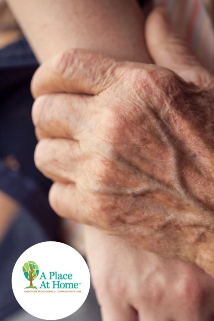 elderly home care services