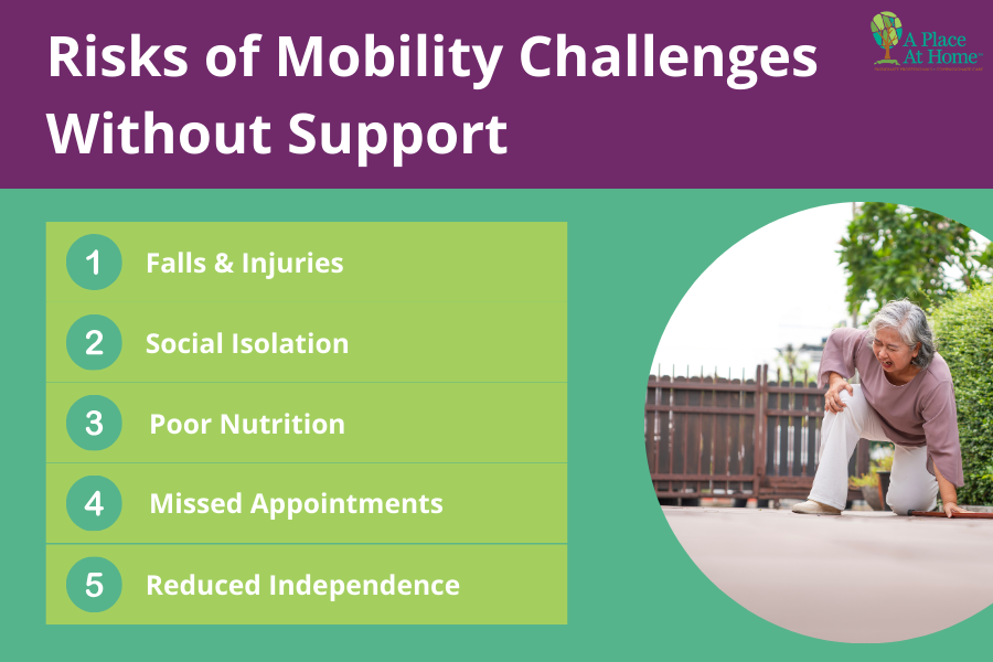 Senior Fall Challenges