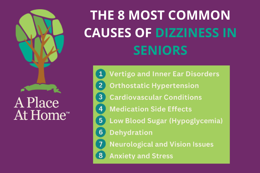 Most Common Causes of Dizziness in Seniors - A Place At Home