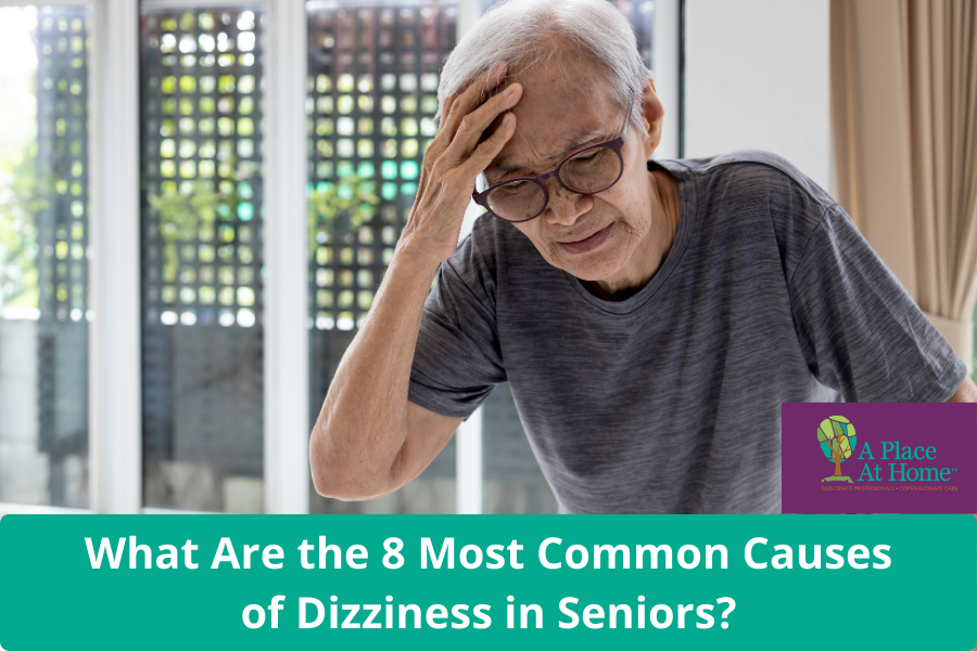 What Causes Dizziness in Seniors - A Place At Home