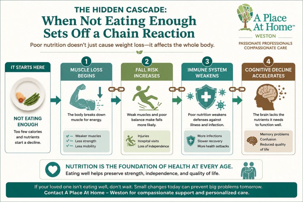 Infographic for A Place At Home – Weston showing a chain reaction of poor nutrition in older adults
