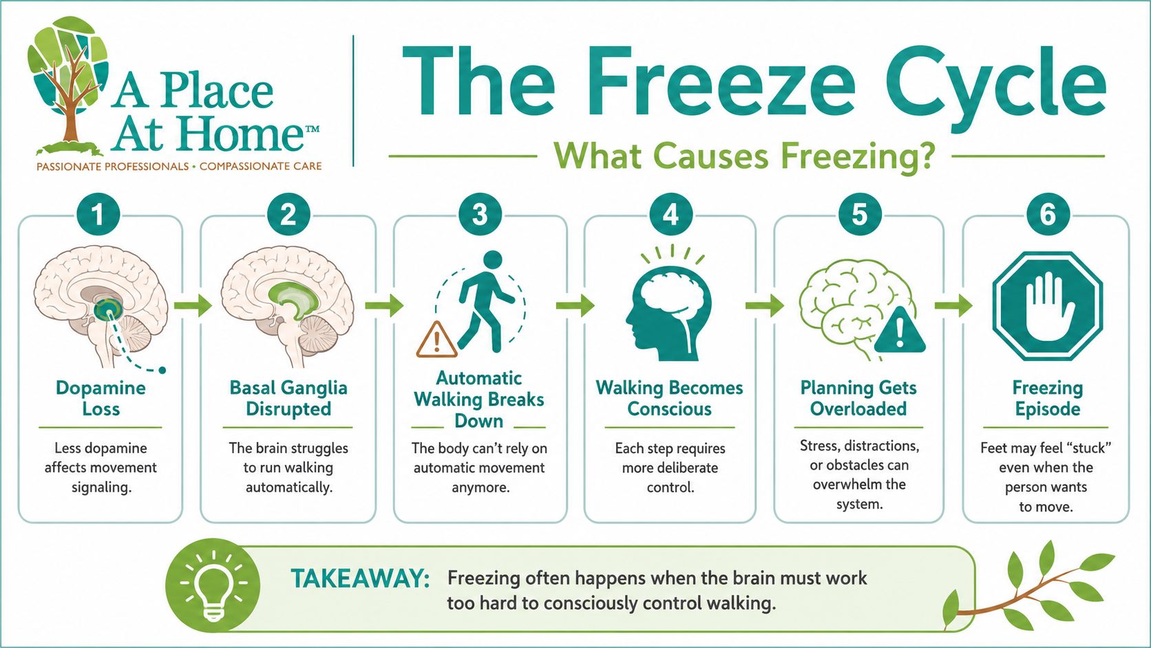 The freeze cycle understanding movement disruptions